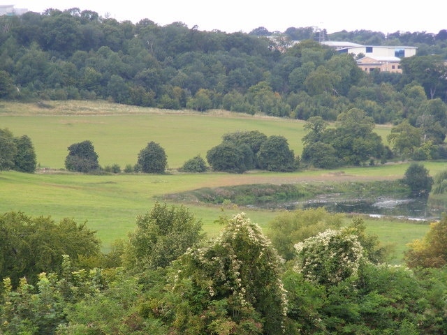 "Hyde"-foto av David Sands (CC BY-SA) / Urklipp från original