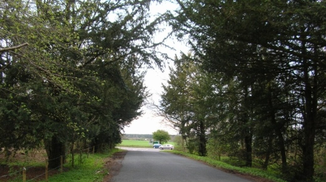 Photo "Harton" by DS Pugh (CC BY-SA) / Cropped from original