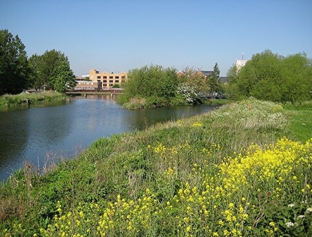 River confluence The Can meets the Chelmer