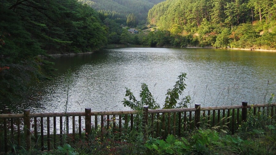 Photo "Shionoiri Pond." by Qurren (Creative Commons Attribution-Share Alike 3.0) / Cropped from original