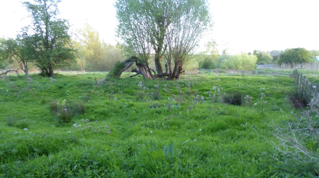 Foto „Barton Seagrave“ von Dudley Miles (CC BY-SA)/zugeschnittenes Original