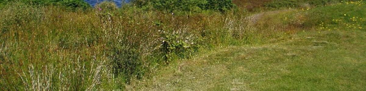 Photo "Eriska looking North." by DACP (Creative Commons Attribution-Share Alike 2.0) / Cropped from original