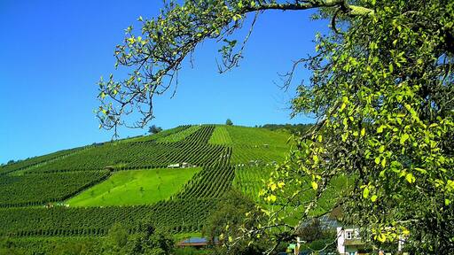 Foto ‘Unterglottertal’ van pictures Jettcom (CC BY) / bijgesneden versie van origineel