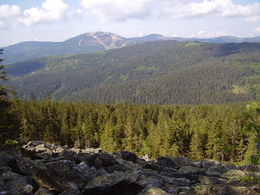 Velký Javor - 1457 m.n.m.