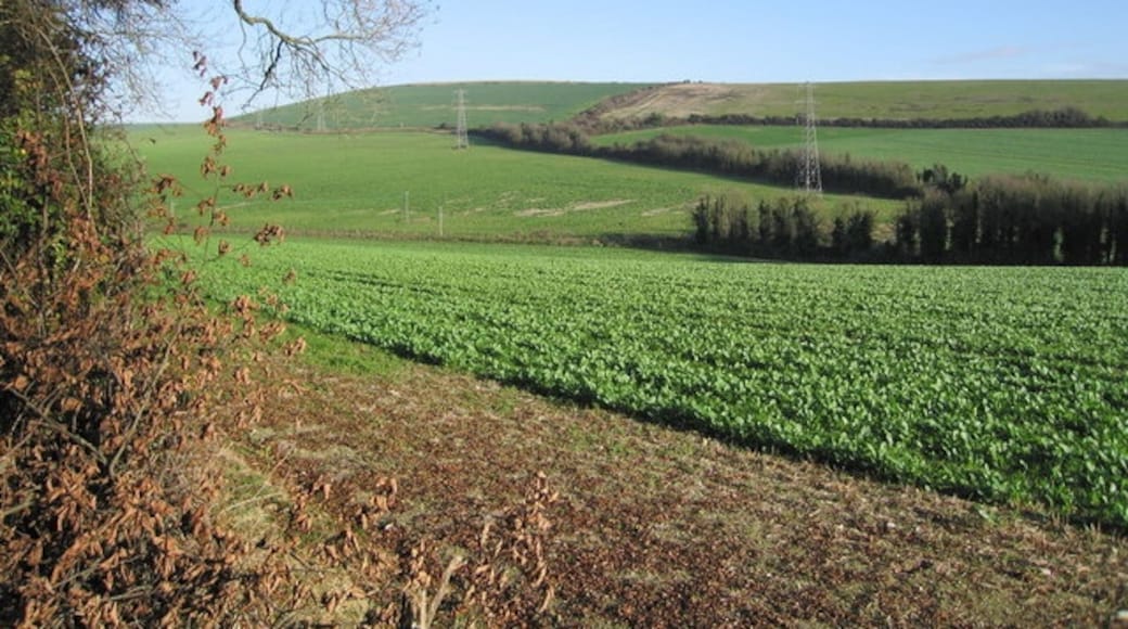 Photo "Sompting" by Bob Parkes (CC BY-SA) / Cropped from original