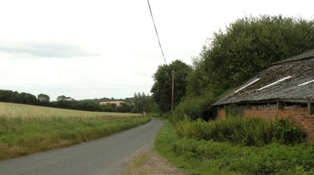 Kuva ”Somerton” käyttäjältä Robert Edwards (CC BY-SA) / rajattu alkuperäisestä kuvasta