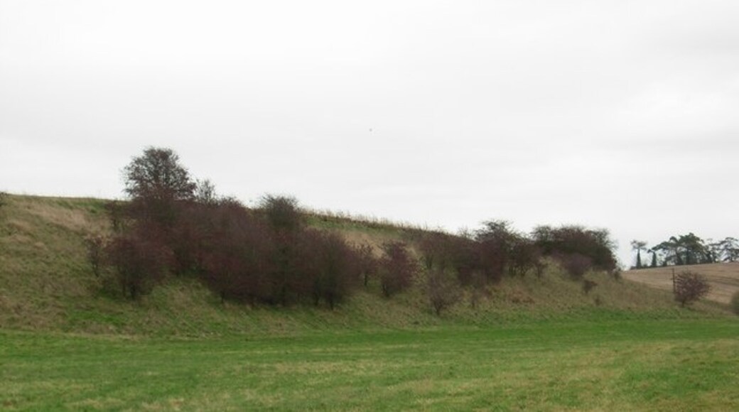 Billede "Hampnett" af Jennifer Luther Thomas (CC BY-SA) / beskåret fra det originale billede