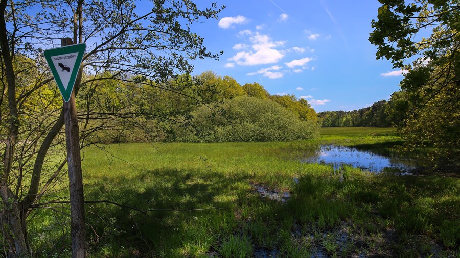 Photo "Wiese im Faulbruch zwischen Erzhausen und Wixhausen, Naturschutzgebiet „Faulbruch bei Erzhausen“ (NSG 1432028)" by Ratki (page does not exist) (Creative Commons Attribution-Share Alike 4.0) / Cropped from original