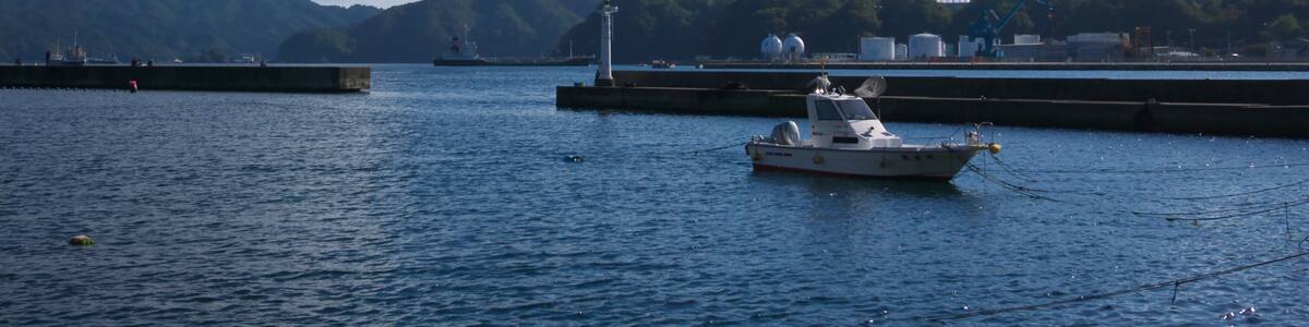 Photo "Kamaishi fishing port, seen from the north. --->See the map." by ひでわく (Creative Commons Attribution 2.1 jp) / Cropped from original