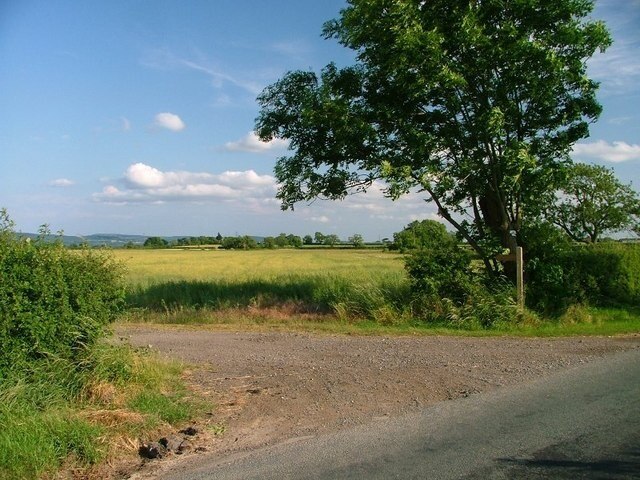 Billede "Appleton Wiske" af Mick Garratt (CC BY-SA) / beskåret fra det originale billede