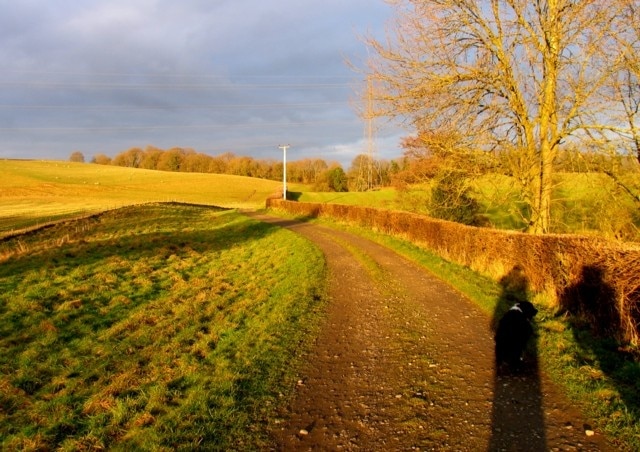 "Knighton on Teme"-foto av Andrew Tatlow (CC BY-SA) / Urklipp från original