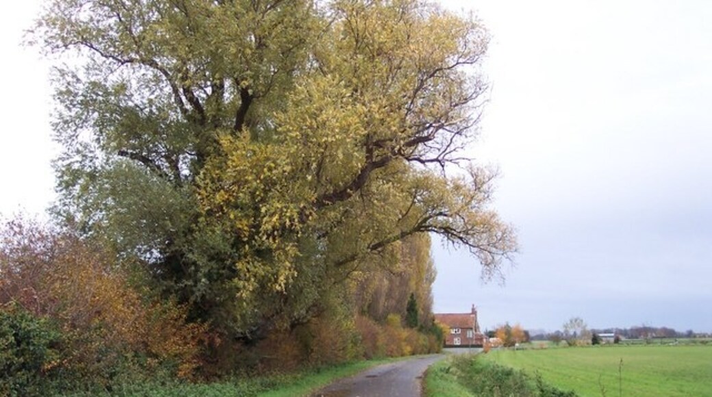 "Walpole Highway"-foto av Jonathan Billinger (CC BY-SA) / Urklipp från original
