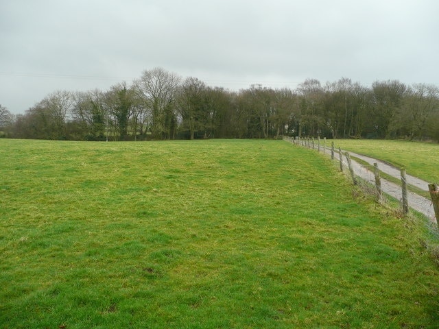 Track to Beech Wood View east across pasture land near Onneley.