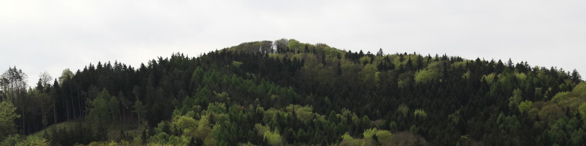 Moritzberg von Norden