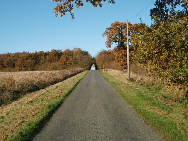 Foto “Leighton” tomada por Michael Trolove (CC BY-SA); recorte de la original