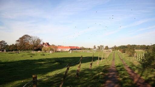 Foto “Ashby Parkland” tomada por Richard Croft (CC BY-SA); recorte de la original
