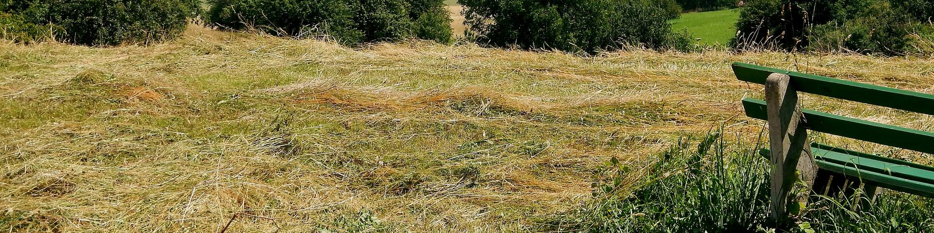 Ausblick bei Keltern