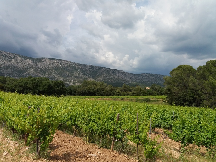 Château Maupague, Grand Site Sainte-Victoire (Bouches-du-Rhône, France)