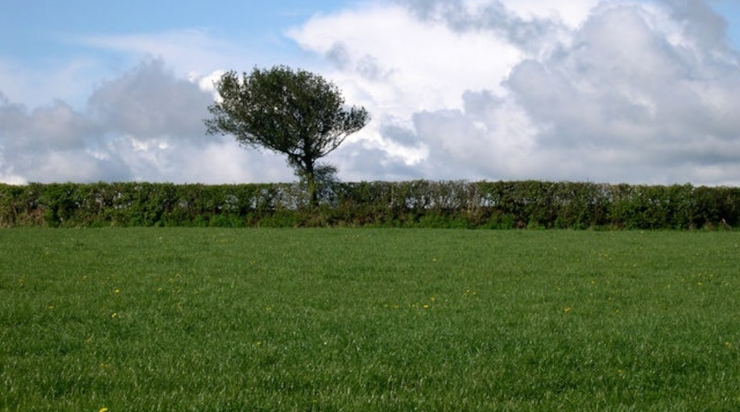 Photo "Llanpumsaint" by John Duckfield (CC BY-SA) / Cropped from original