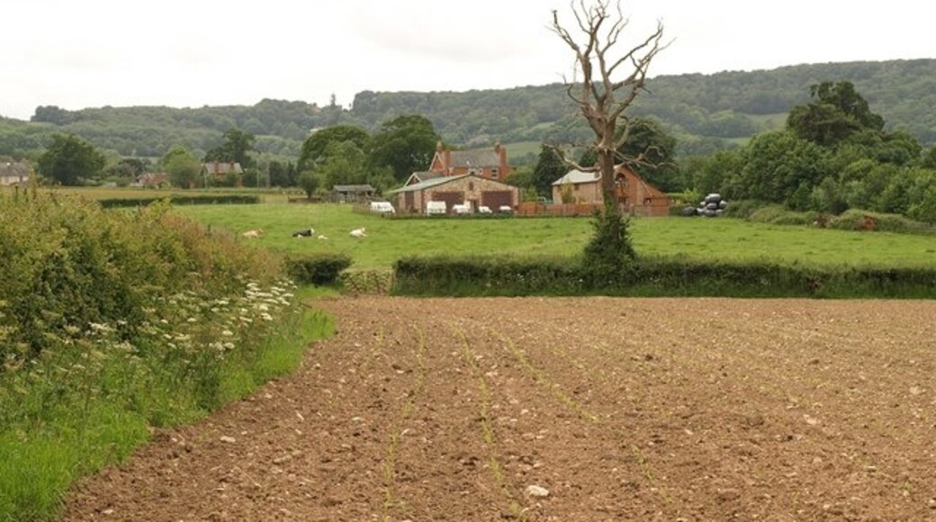 "Wellington Without"-foto av Derek Harper (CC BY-SA) / Urklipp från original