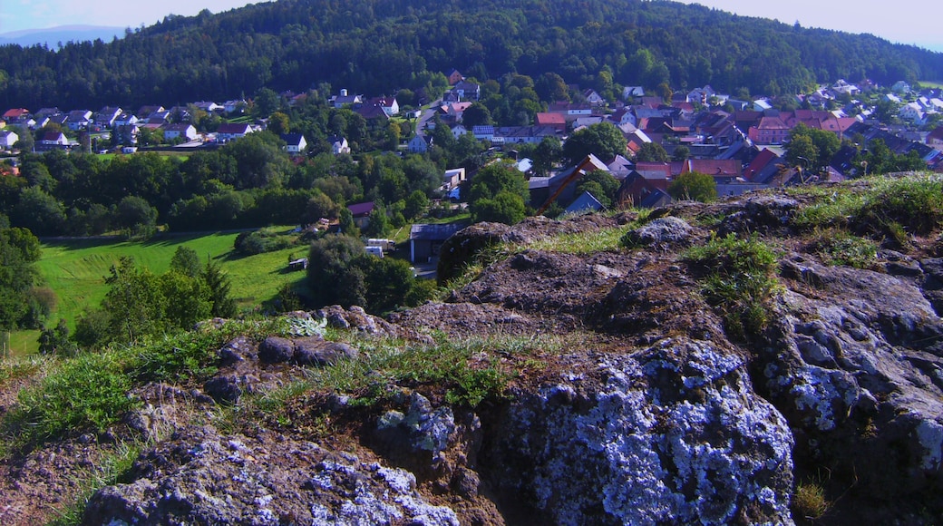 Photo "Neustadt am Kulm" by G. Zapf (CC BY) / Cropped from original