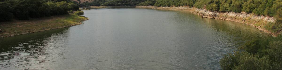 Photo "Oschiri - Lago Coghinas" by Discanto (Creative Commons Attribution-Share Alike 3.0) / Cropped from original