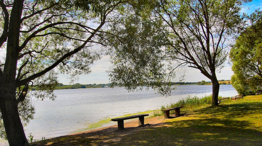 Photo "Pennington Flash Country Park" by Ronald Saunders (CC BY-SA) / Cropped from original