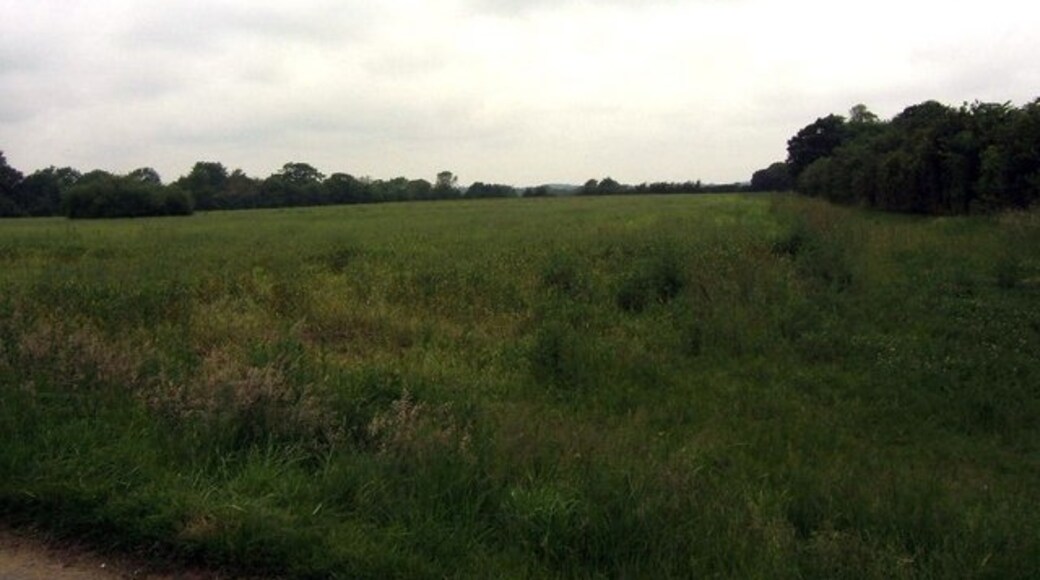 Foto „Syleham“ von Jeff Tomlinson (CC BY-SA)/zugeschnittenes Original