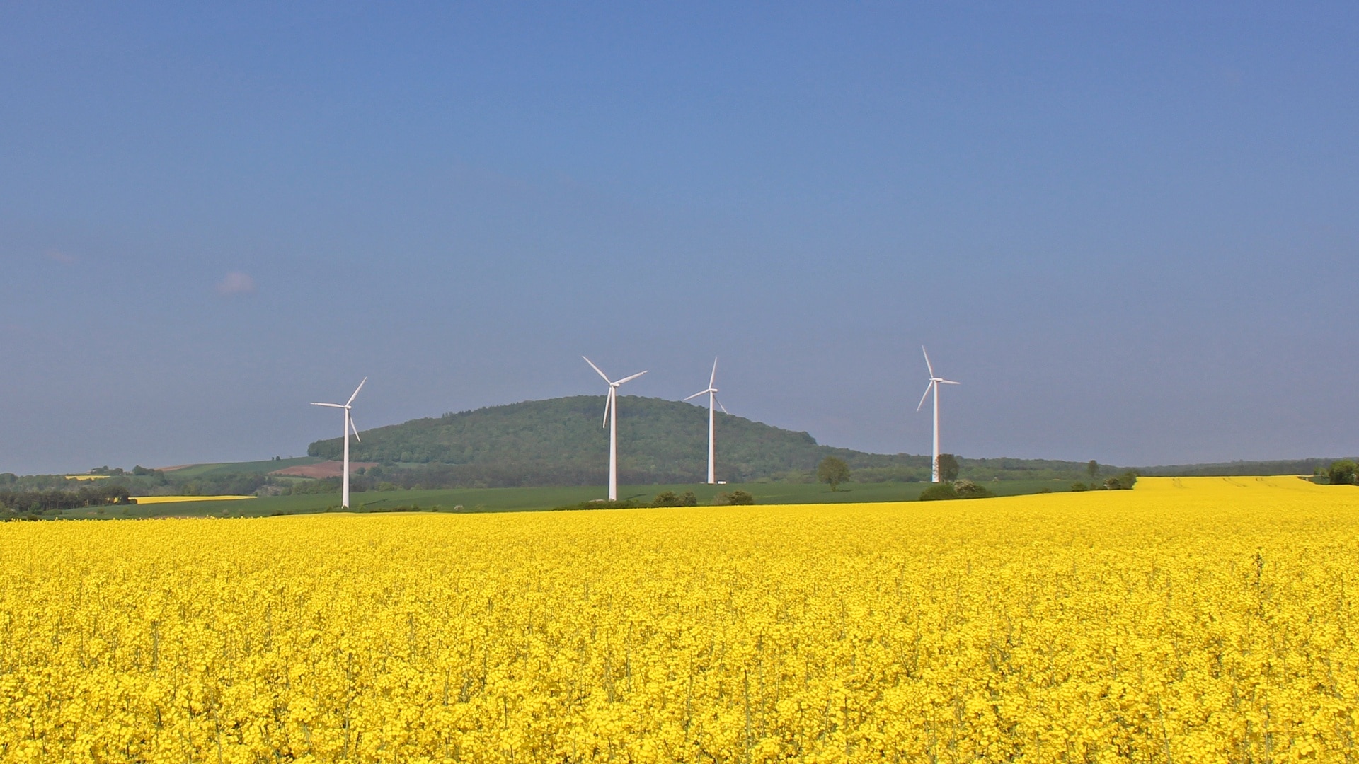 Photo "Niemetal" by Michael32710 (CC BY-SA) / Cropped from original