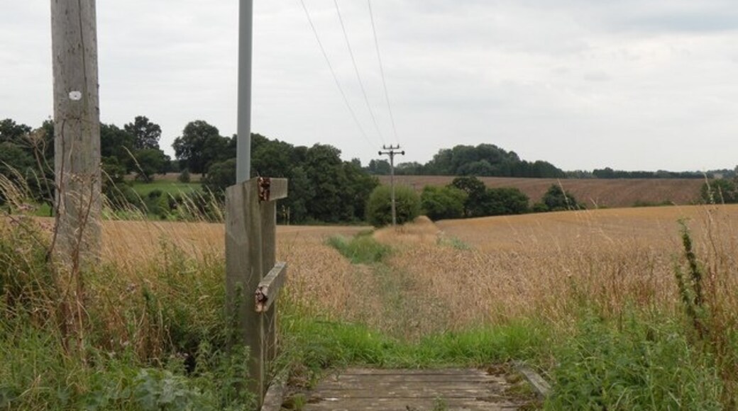 "Standon"-foto av Robert Edwards (CC BY-SA) / Urklipp från original