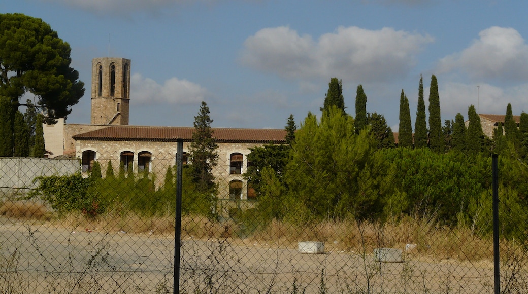 Foto "Monasterio de Pedralbes" de Pere prlpz (CC BY-SA) / Recortada de la original