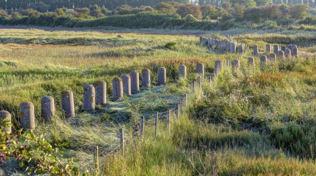 "Cliffsend"-foto av Whn64 (page does not exist) (CC BY-SA) / Urklipp från original