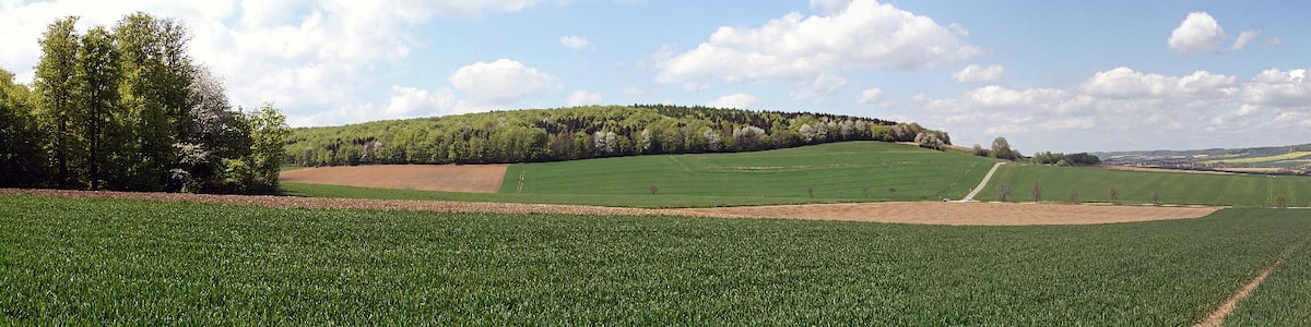 Photo "Panoramic view taken at 52N 10E, south of the village Evensen (Sehlem)" by EkkehardDomning (page does not exist) (Creative Commons Attribution-Share Alike 4.0) / Cropped from original