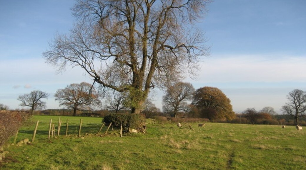 Photo "Grantley" by Chris Heaton (CC BY-SA) / Cropped from original