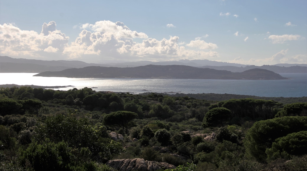 Foto “Isla de Santo Stefano” tomada por Discanto (CC BY-SA); recorte de la original