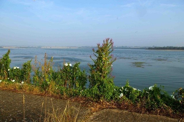 Photo "Abberton Reservoir" by Glyn Baker (CC BY-SA) / Cropped from original