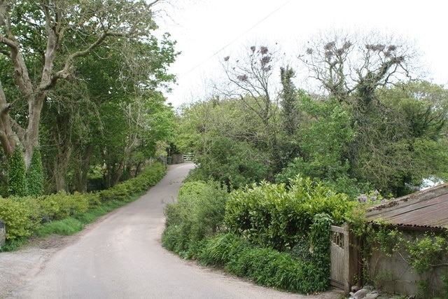 Rookery at Alsia Mill