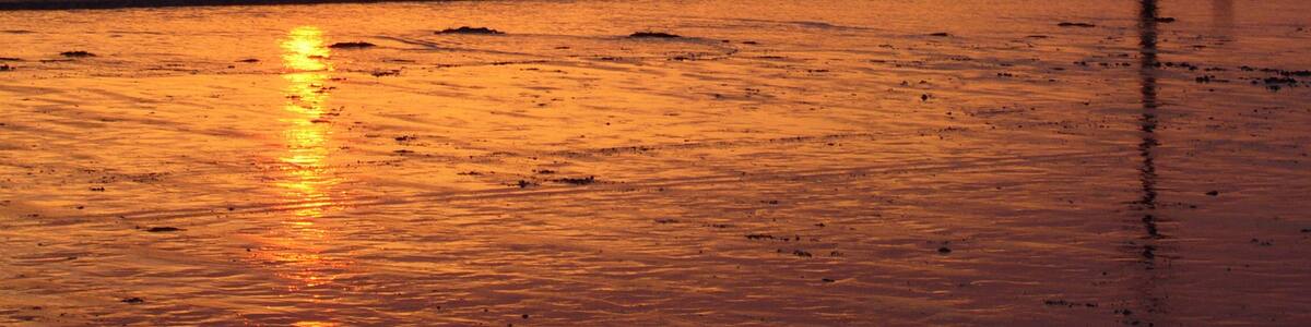 Photo "Borth beach" by Tanya Dedyukhina (Creative Commons Attribution 3.0) / Cropped from original