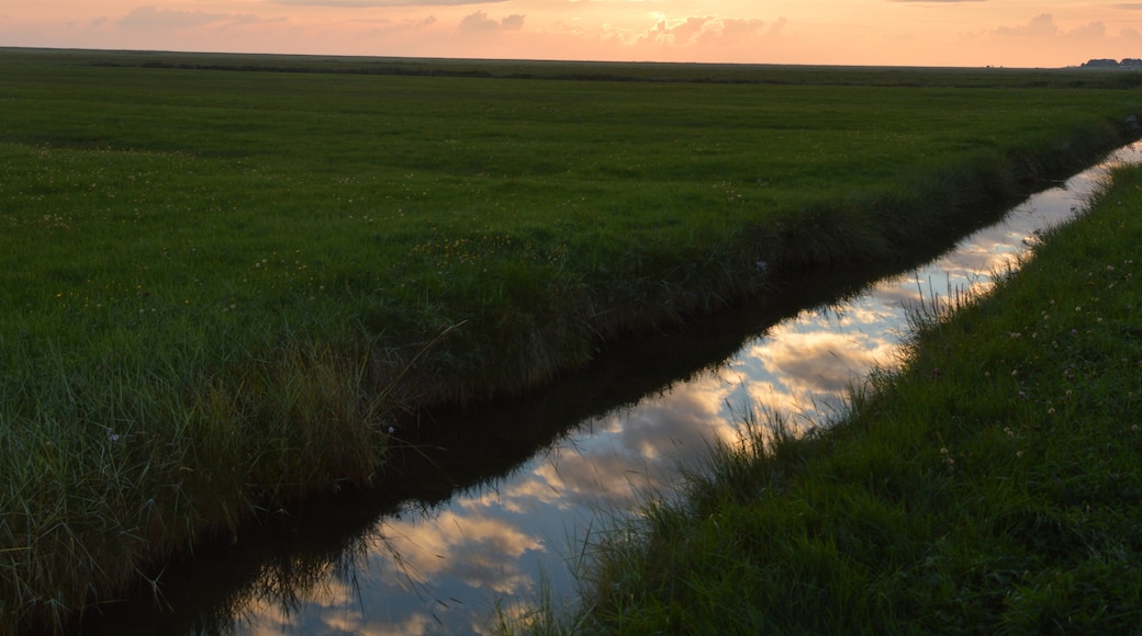 Photo "Hallig Hooge" by Lisa-M. Schlü (page does not exist) (CC BY-SA) / Cropped from original