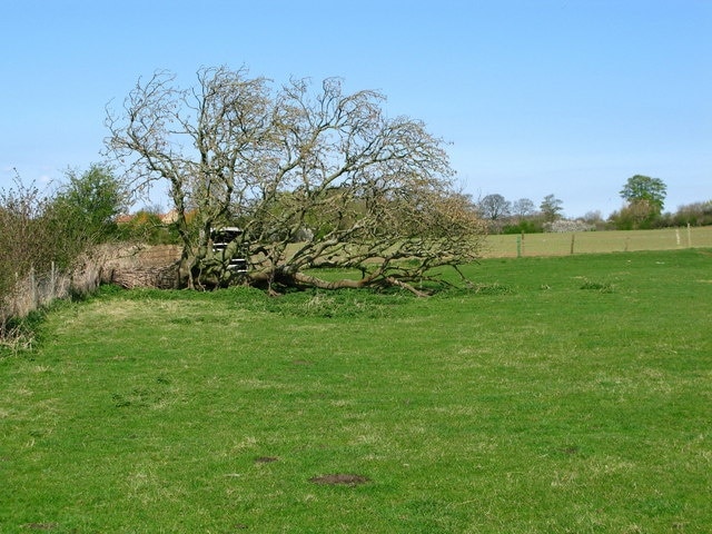 "Sutton med Howgrave"-foto av David Rogers (CC BY-SA) / Urklipp från original