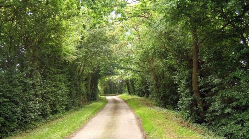 Foto „Syleham“ von Jeff Tomlinson (CC BY-SA)/zugeschnittenes Original