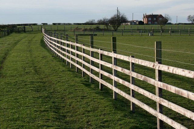 Foto “Picton” tomada por Mick Garratt (CC BY-SA); recorte de la original