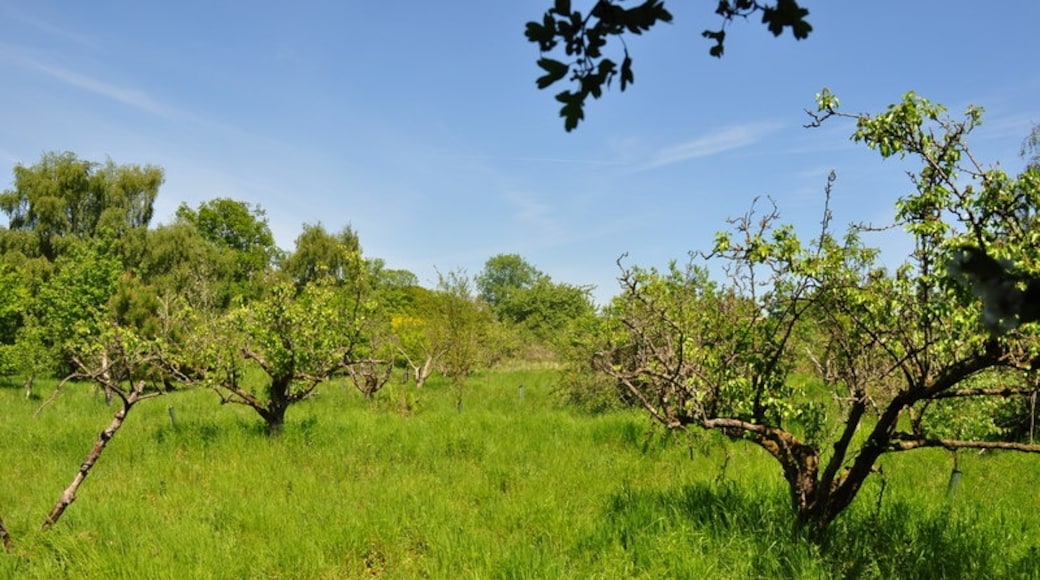 Foto „Wheatacre“ von Ashley Dace (CC BY-SA)/zugeschnittenes Original