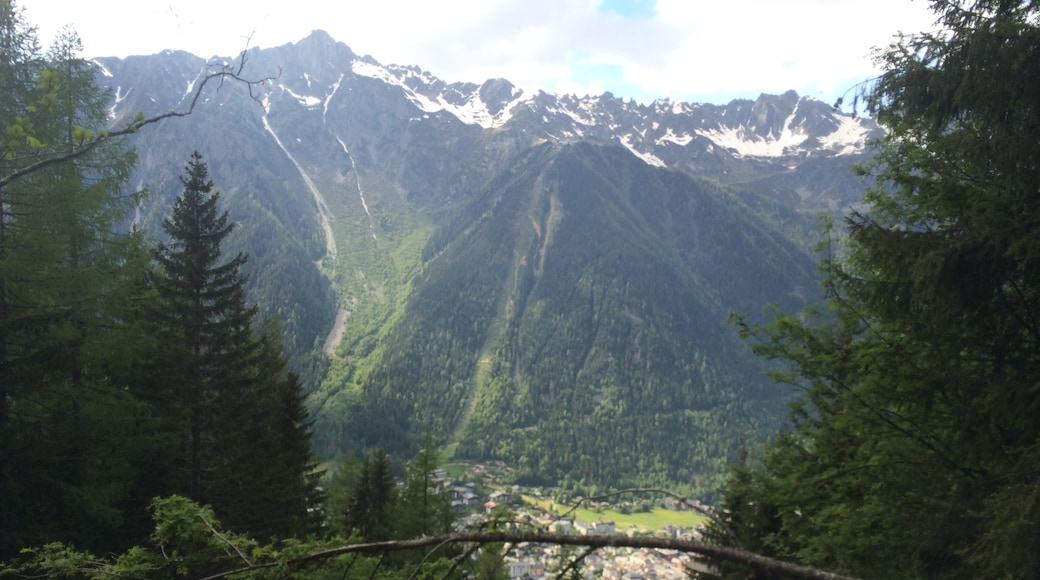 Les Bossons, Chamonix-Mont-Blanc, Haute-Savoie (département), France
