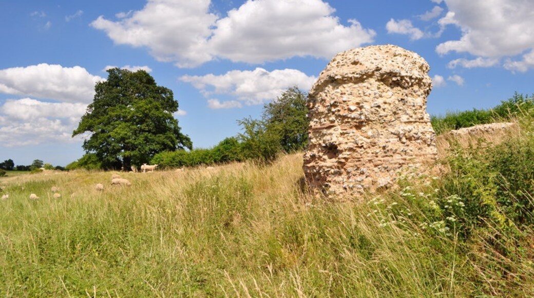 Photo "Caistor St Edmund and Bixley" by Ashley Dace (CC BY-SA) / Cropped from original