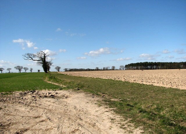 Photo "Antingham" by Evelyn Simak (CC BY-SA) / Cropped from original