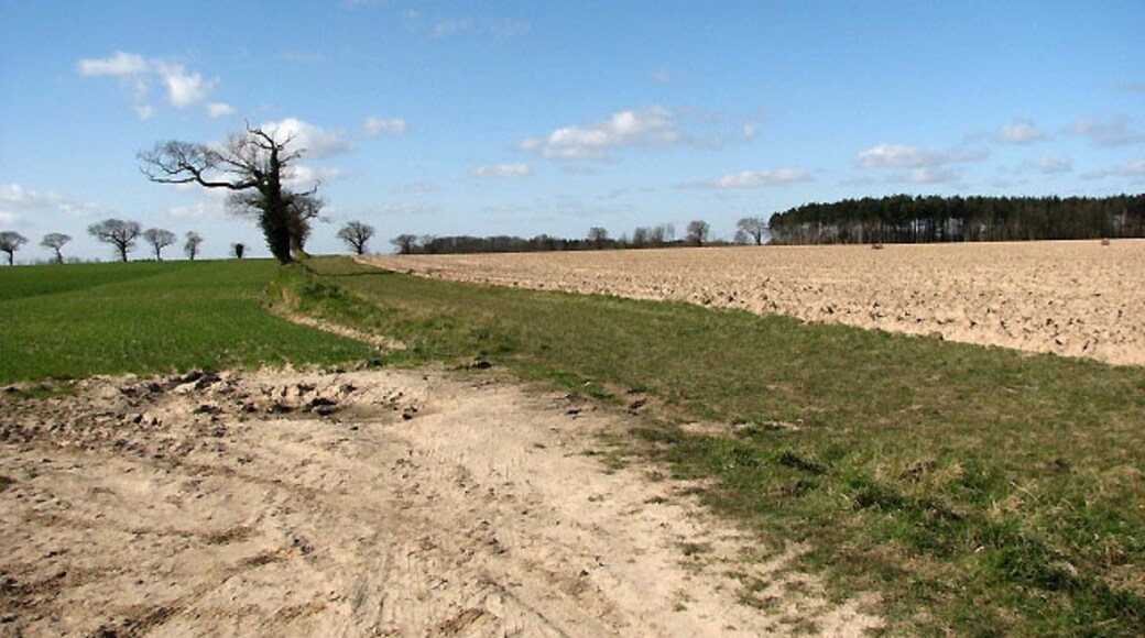 Photo "Antingham" by Evelyn Simak (CC BY-SA) / Cropped from original