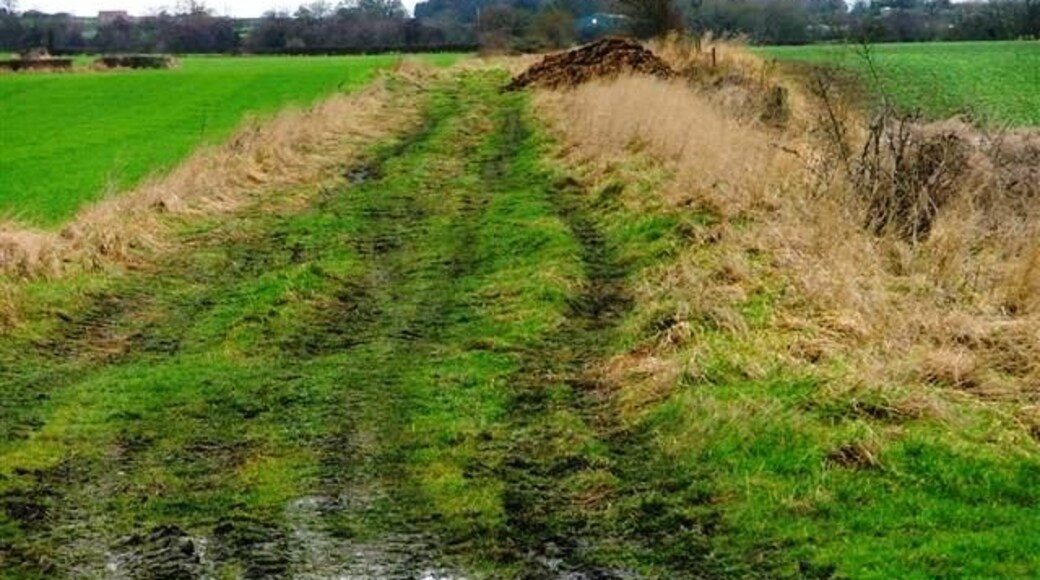 Billede "Carlton" af Mick Garratt (CC BY-SA) / beskåret fra det originale billede