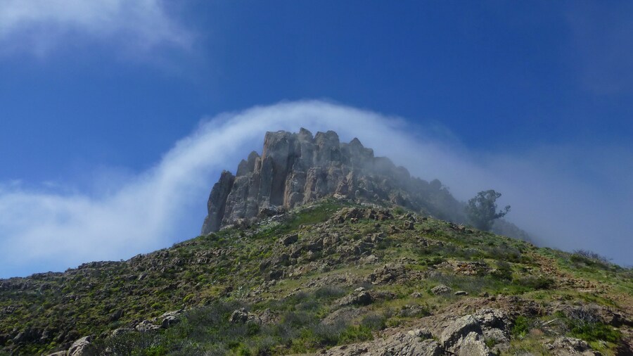 Photo "Biosphere Reserve La Gomera, core area, top of La Fortaleza, a 1232-metre-high table mountain" by Puusterke (Creative Commons Attribution-Share Alike 4.0) / Cropped from original