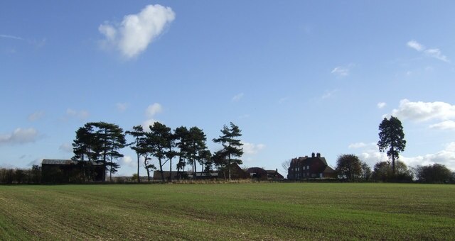 Photo "Tong" by Jonathan Billinger (CC BY-SA) / Cropped from original